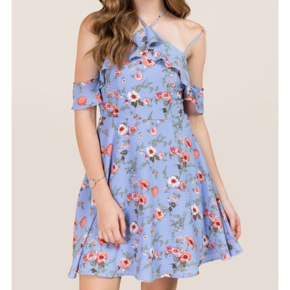 Francesca’s Pearla Floral Ruffle Dress - Picture 1 of 3